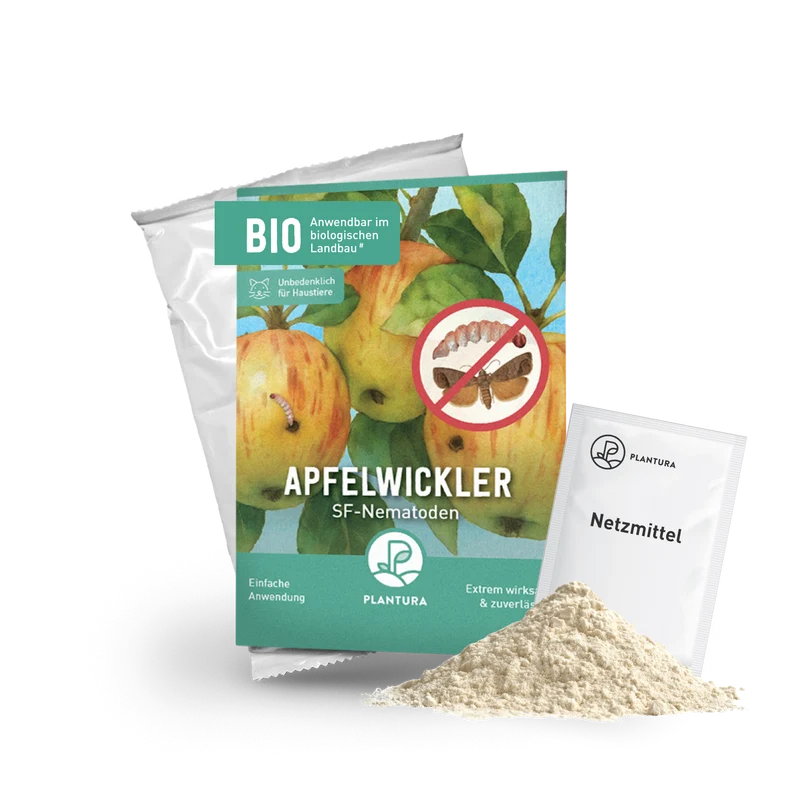 SF-Nematoden gegen Apfelwickler & Pflaumenwickler