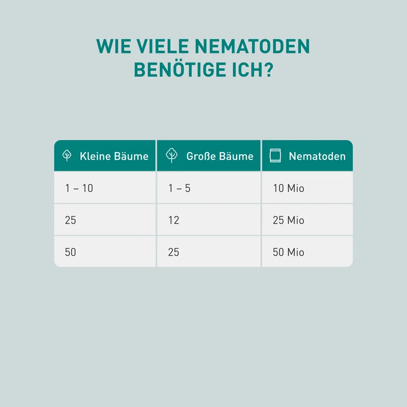 SF-Nematoden gegen Apfelwickler & Pflaumenwickler