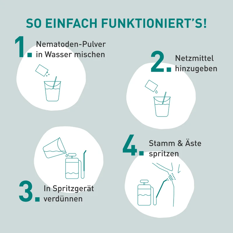 SF-Nematoden gegen Apfelwickler & Pflaumenwickler