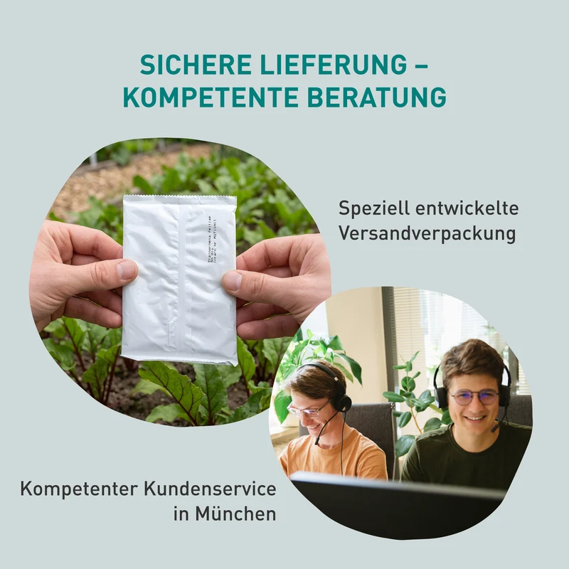 SF-Nematoden gegen Apfelwickler & Pflaumenwickler