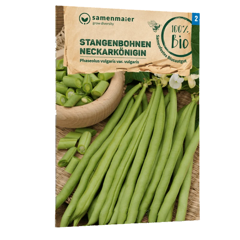 Bio-Stangenbohne 'Neckarkönigin' Grün