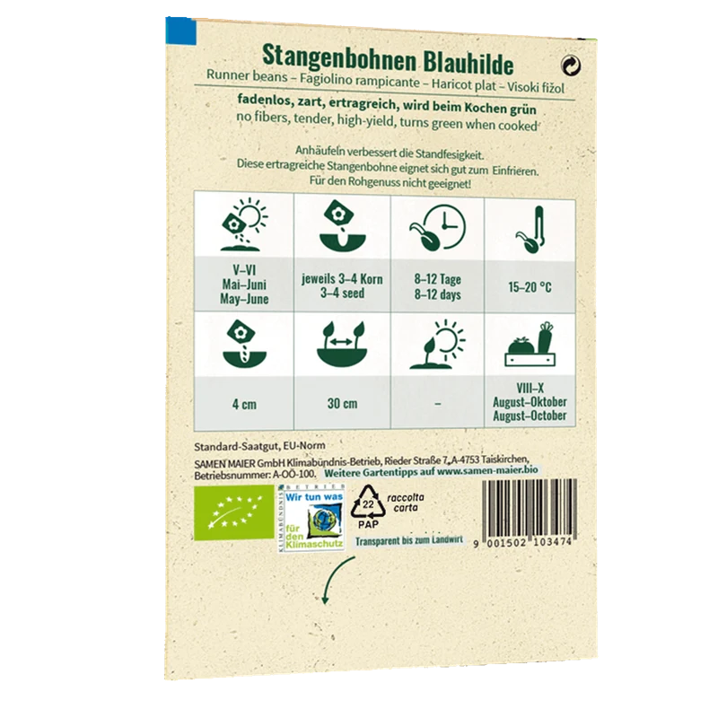 Bio-Stangenbohne 'Blauhilde'