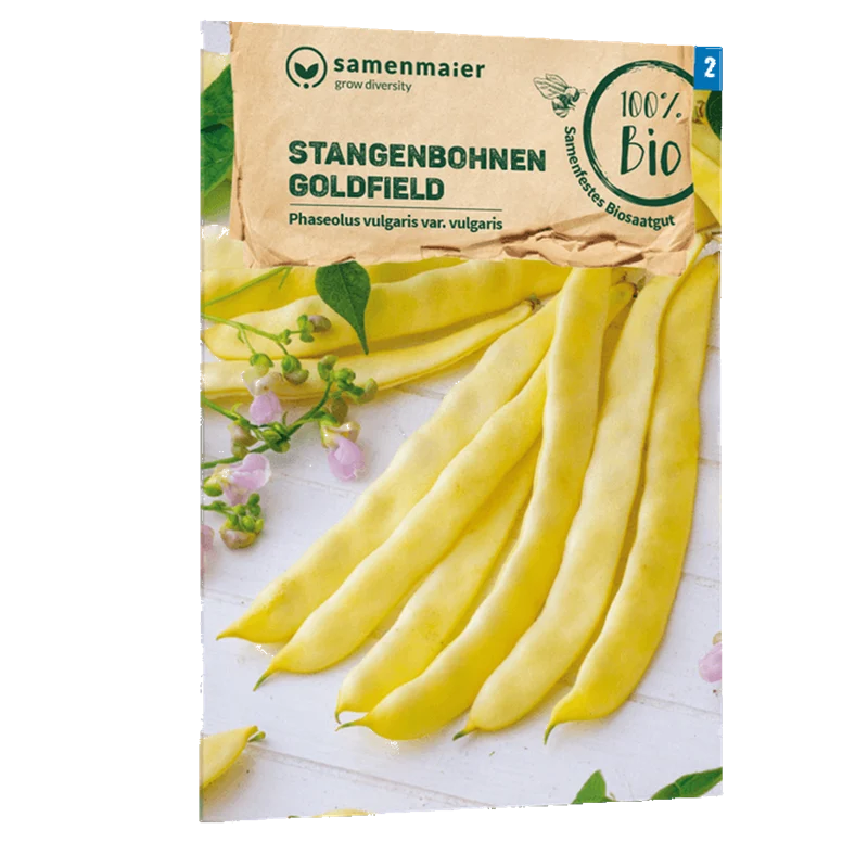Bio-Stangenbohne 'Goldfield' Gelb