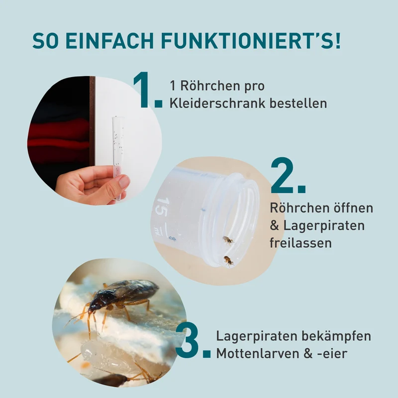 Lagerpiraten gegen Kleidermotten