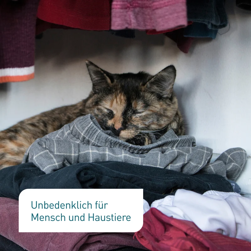 Lagerpiraten gegen Kleidermotten