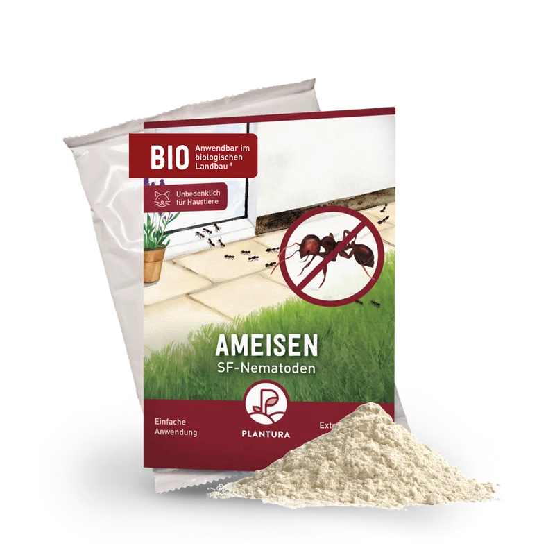 SF-Nematoden gegen Ameisen