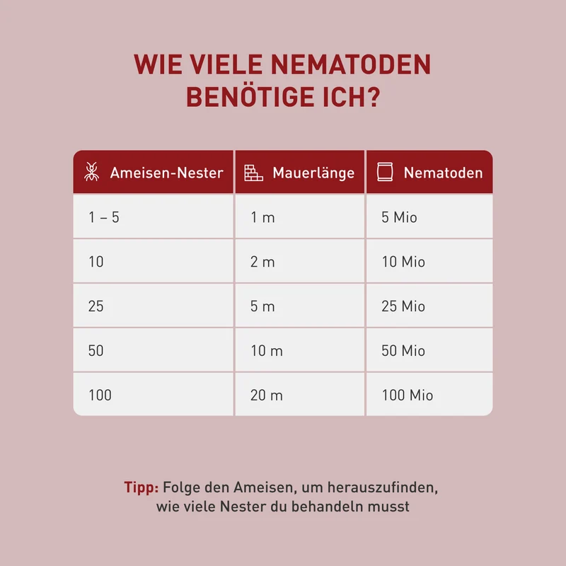 SF-Nematoden gegen Ameisen
