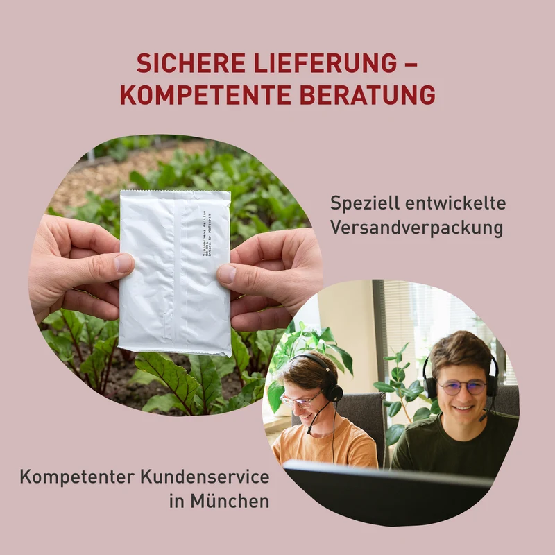 SF-Nematoden gegen Ameisen