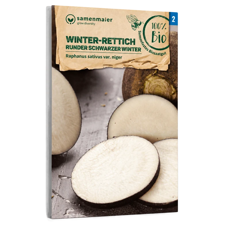 Bio-Winter-Rettich 'Runder schwarzer Winter'