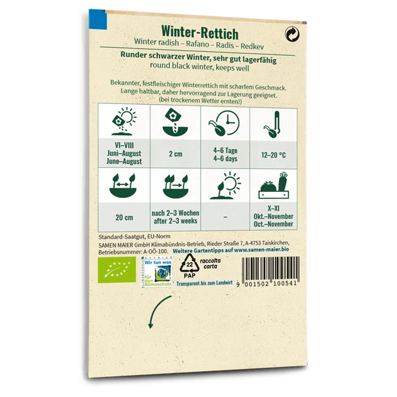 Bio-Winter-Rettich 'Runder schwarzer Winter'