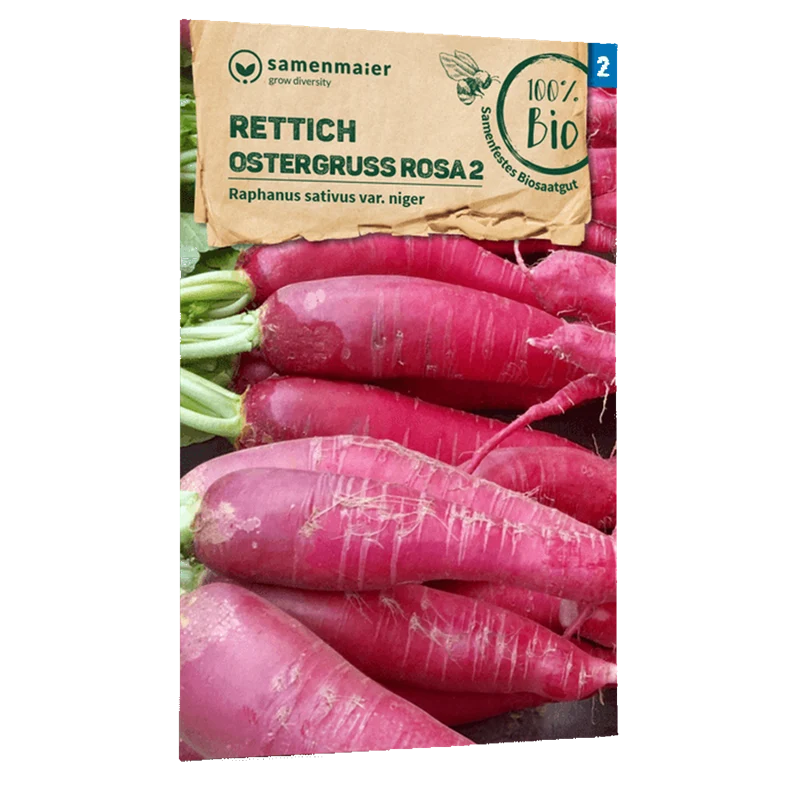 Bio-Rettich 'Ostergruß rosa 2'