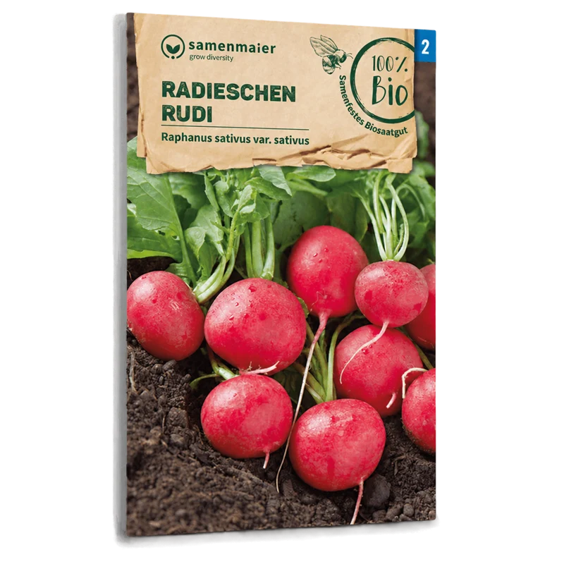 Bio-Radieschen 'Rudi'