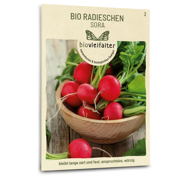 Bio-Radieschen 'Sora'