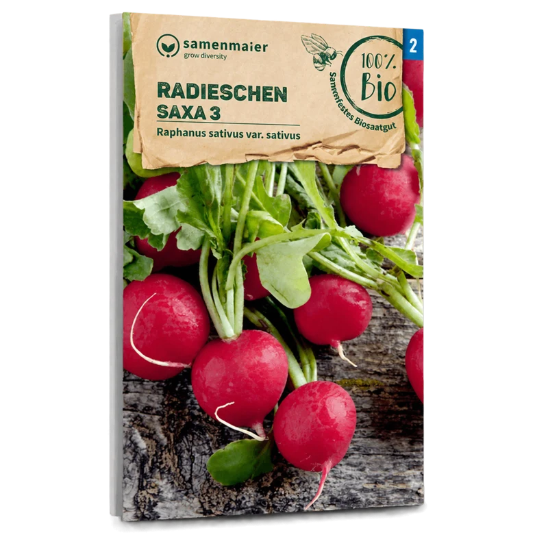 Bio-Radieschen 'Saxa 3'