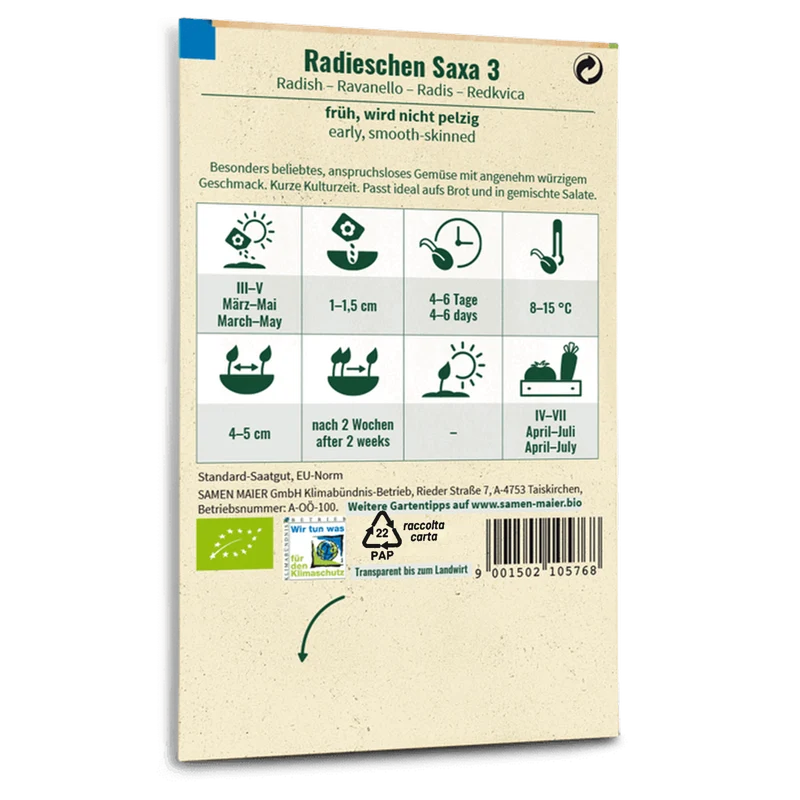 Bio-Radieschen 'Saxa 3'