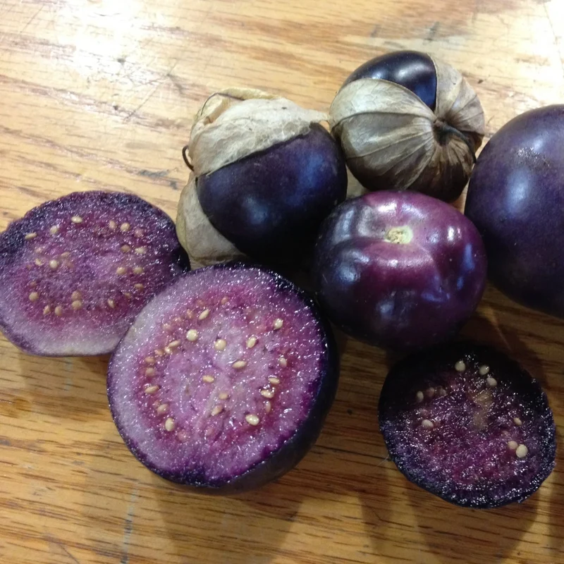 Purple Tomatillo Seeds