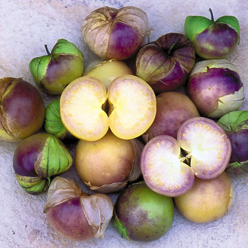 Purple Tomatillo Seeds