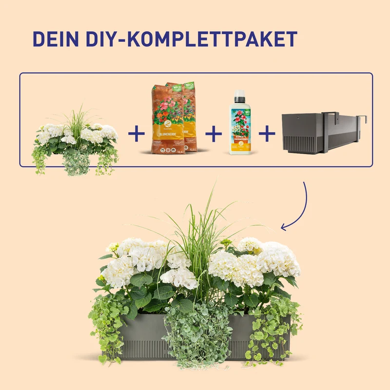 Balkonbox Royal White