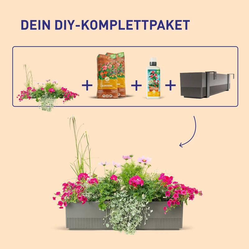 Balkonbox Pink Paradise