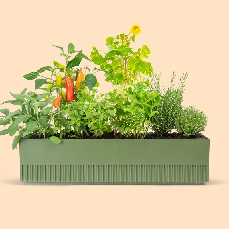 Balkonbox Homegrown