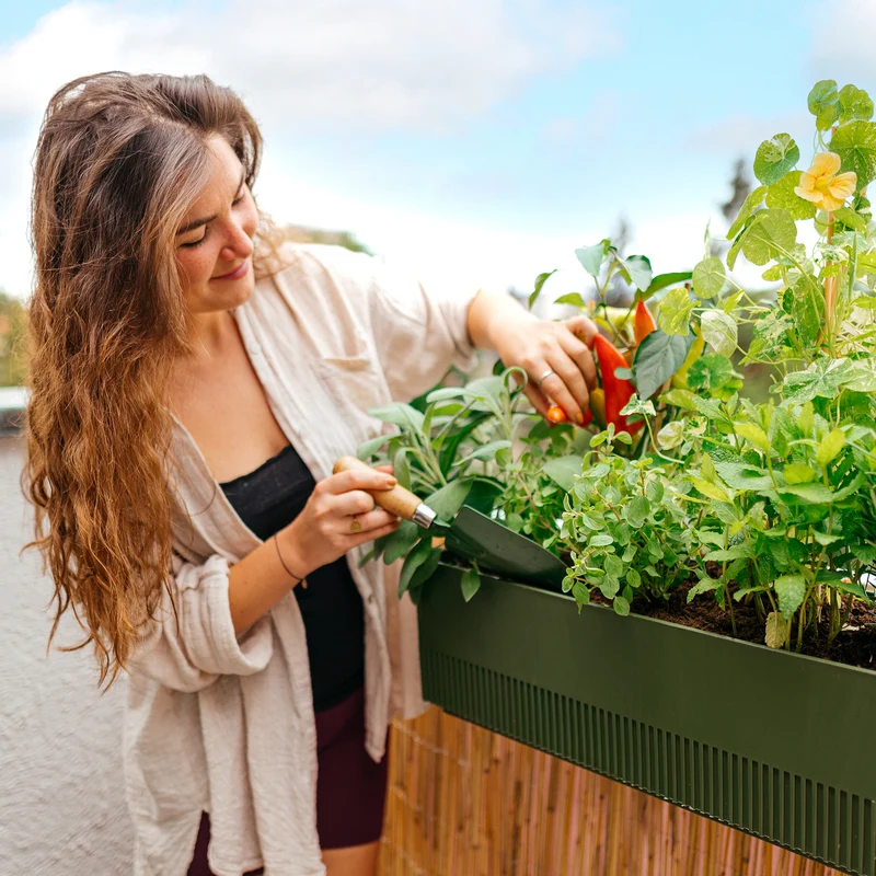Balkonbox Homegrown