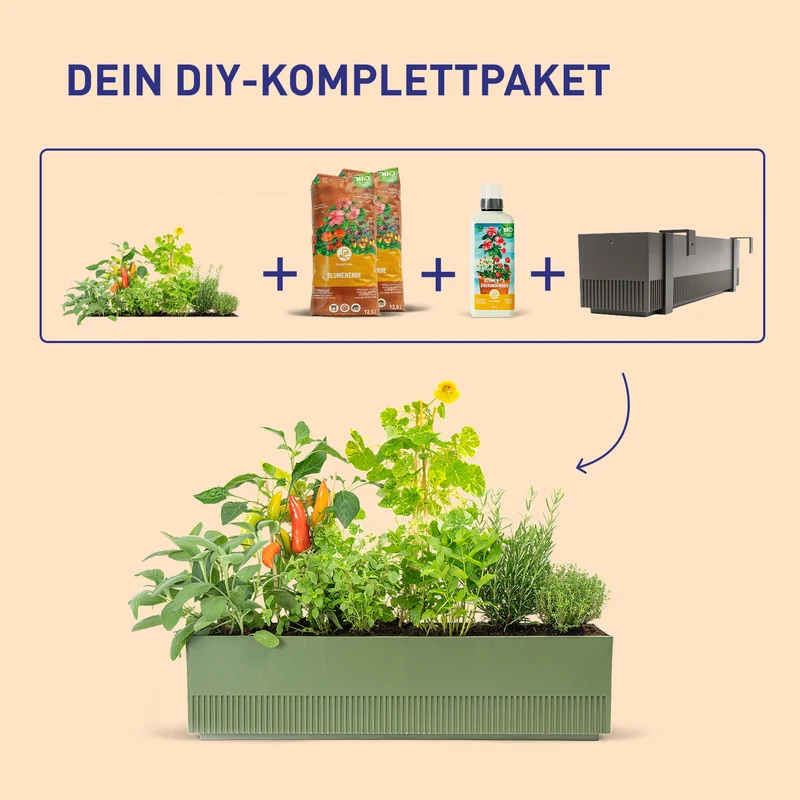 Balkonbox Homegrown