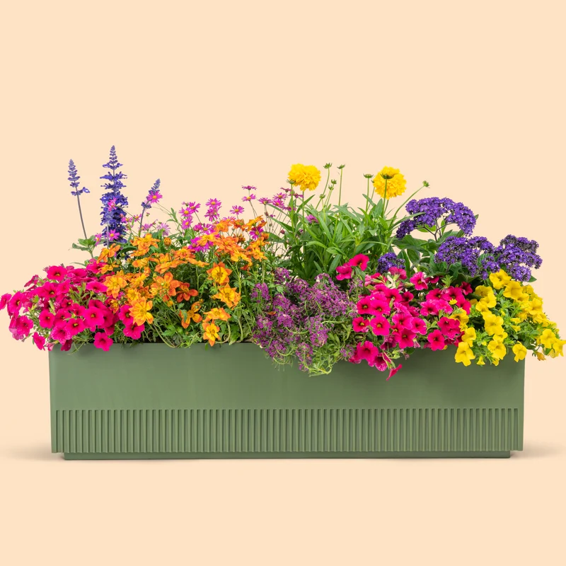 Balkonbox Flower Power