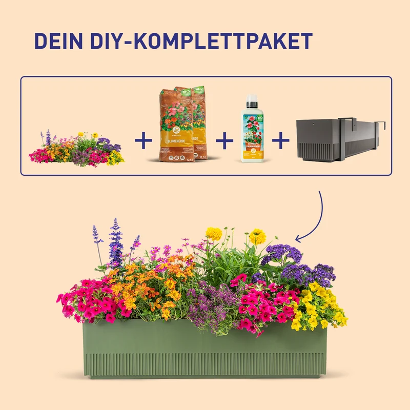 Balkonbox Flower Power