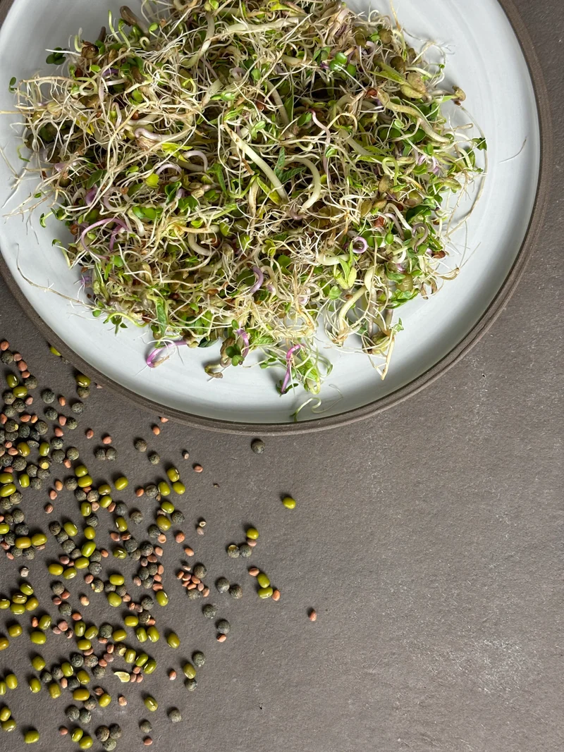 Bio-Sprossen Mix Vital
