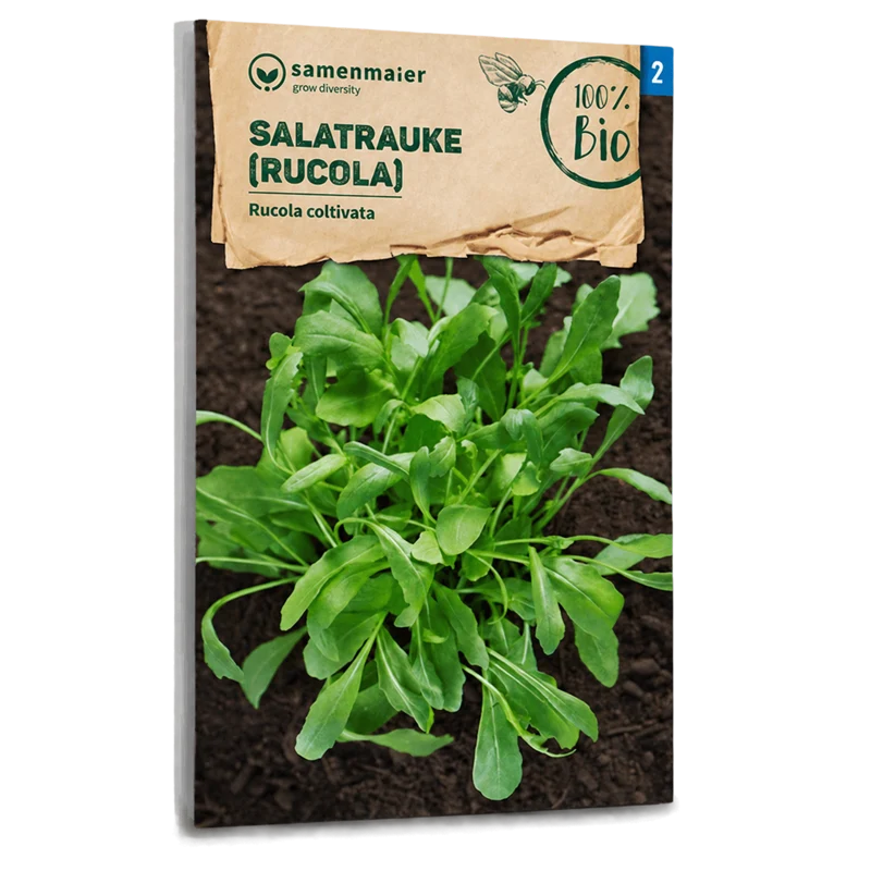 Bio-Salatrauke (Rucola)