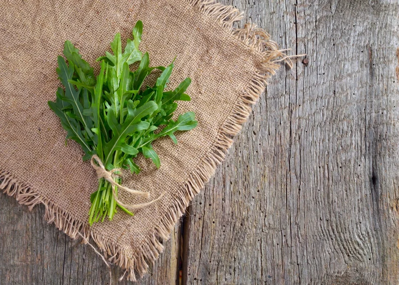Bio-Wilde Rauke (Rucola-Wildform)