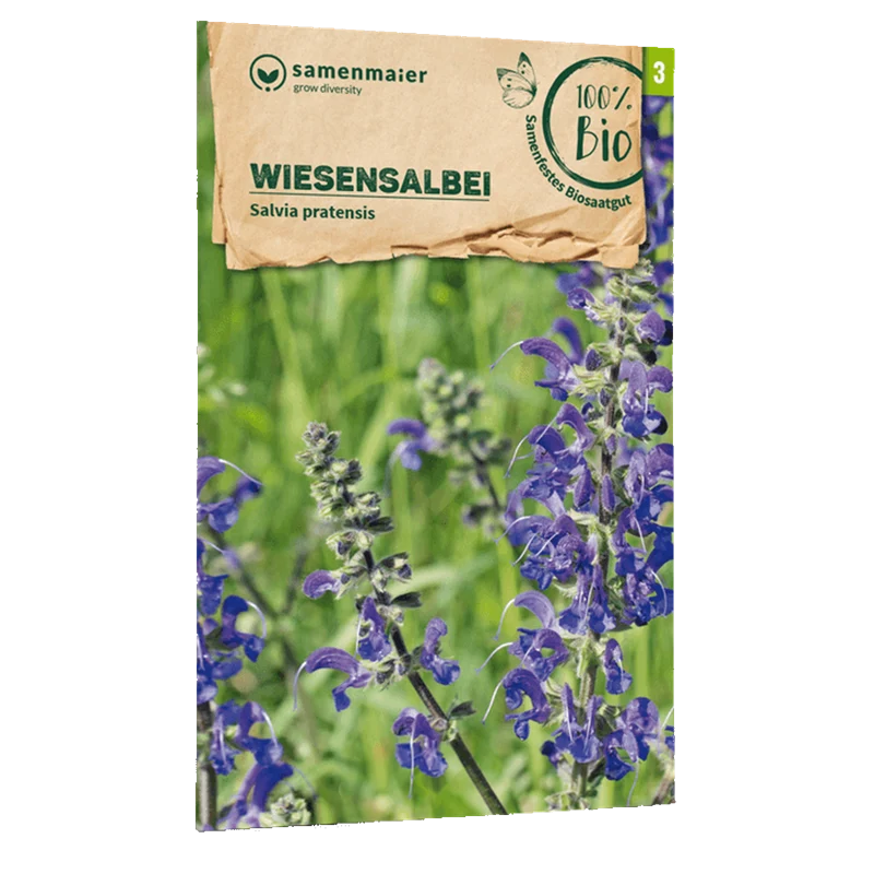 Bio-Wiesensalbei Wildblume