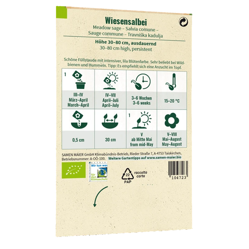 Bio-Wiesensalbei Wildblume