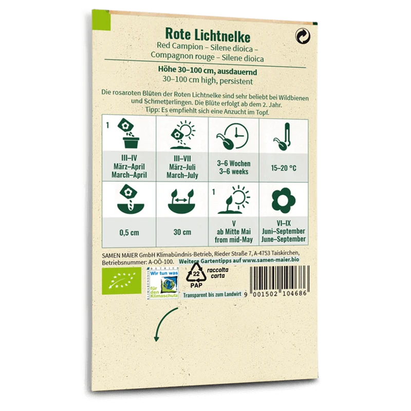 Bio-Rote Lichtnelke Wildblume