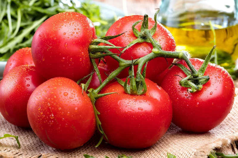 Bio-Tomate 'Rondobella'
