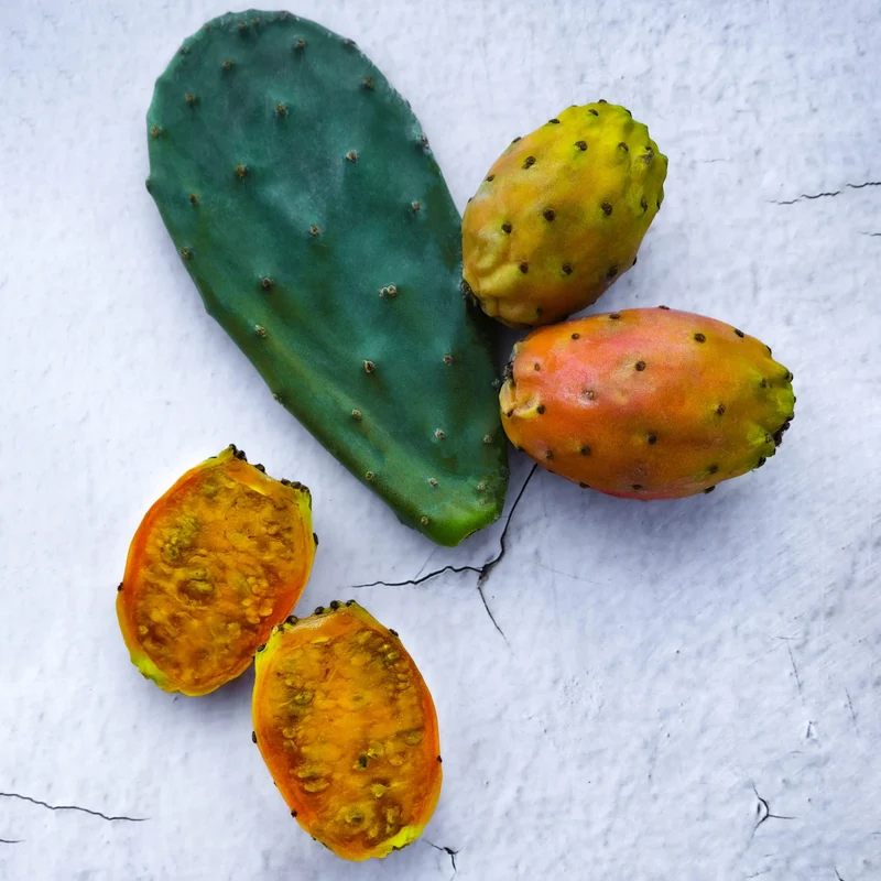 Orange Prickly Pear Cactus Seeds