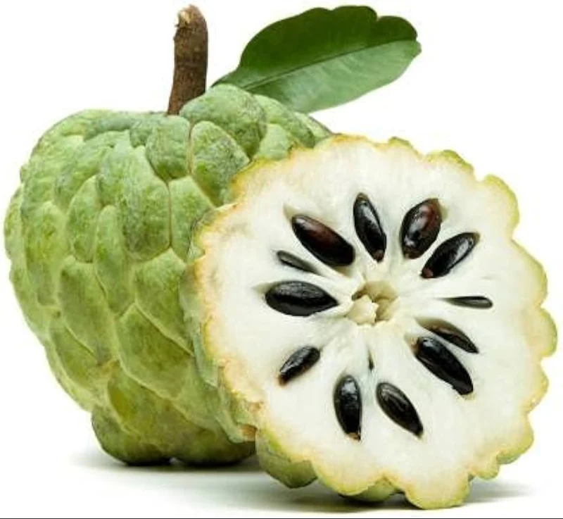 Sugar Apple Fruit Seeds