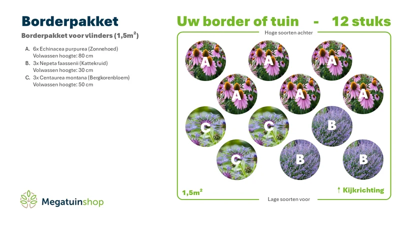 Randpaket für Schmetterlinge (1,5 m2)