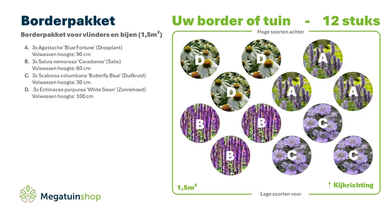 Randpaket für Schmetterlinge und Bienen (1,5 m2)