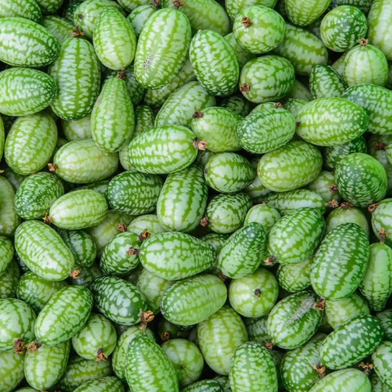 Cucamelon Fruit Seeds