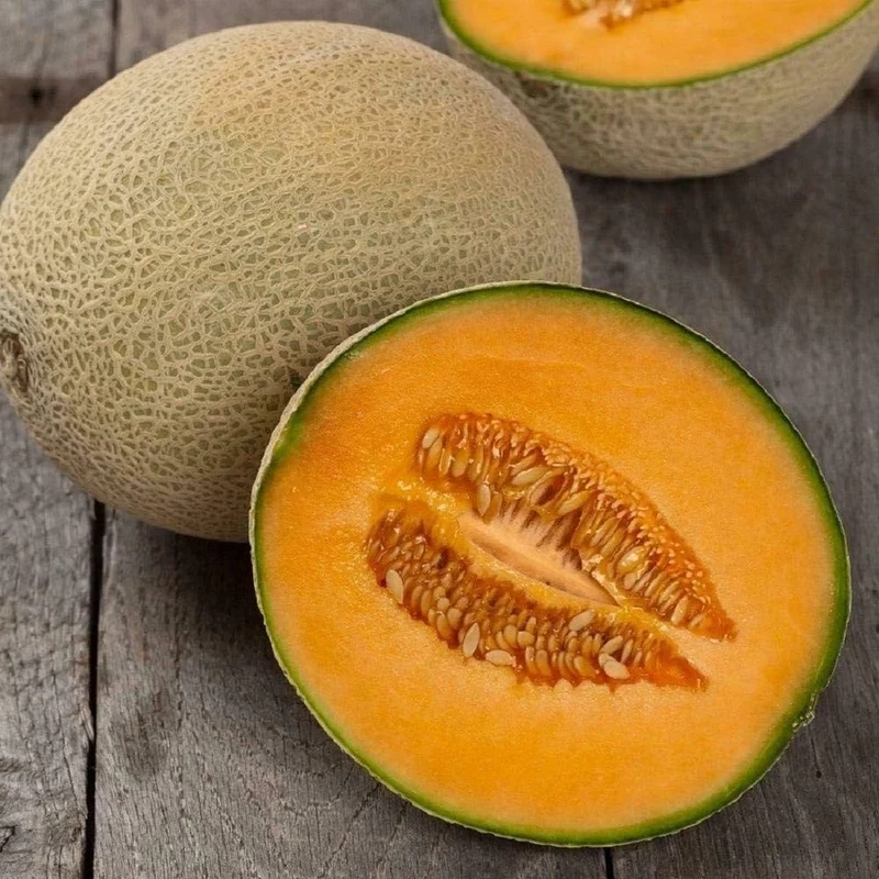 Hale's Best Jumbo Cantaloupe Seeds