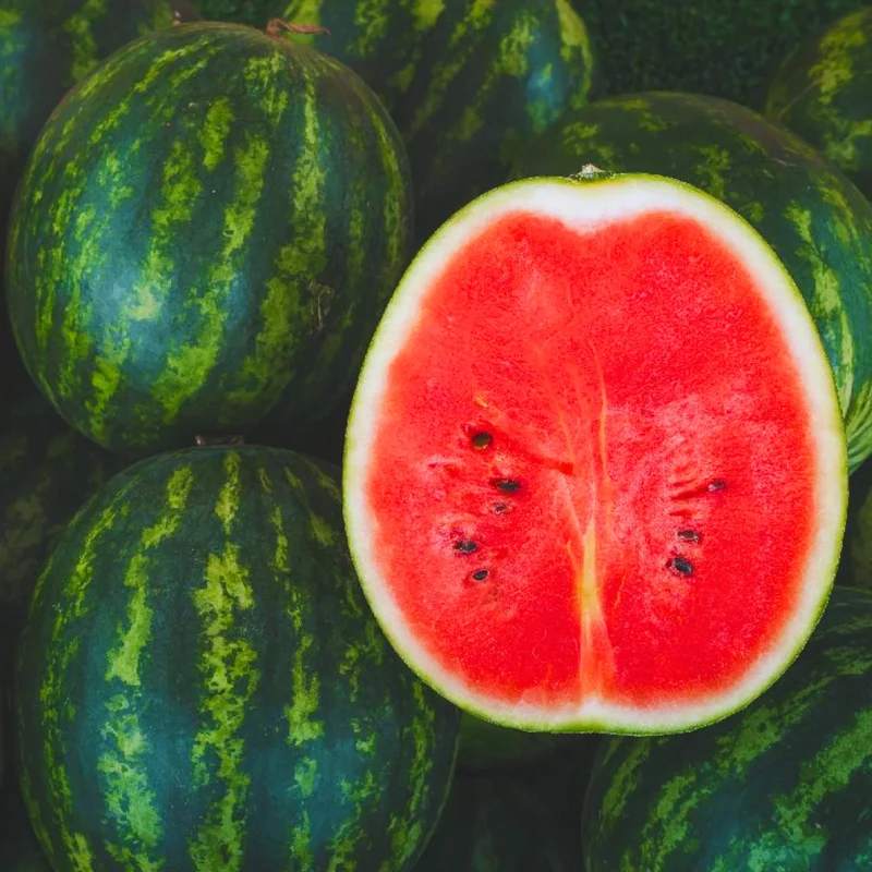 Florida Giant Watermelon Seeds