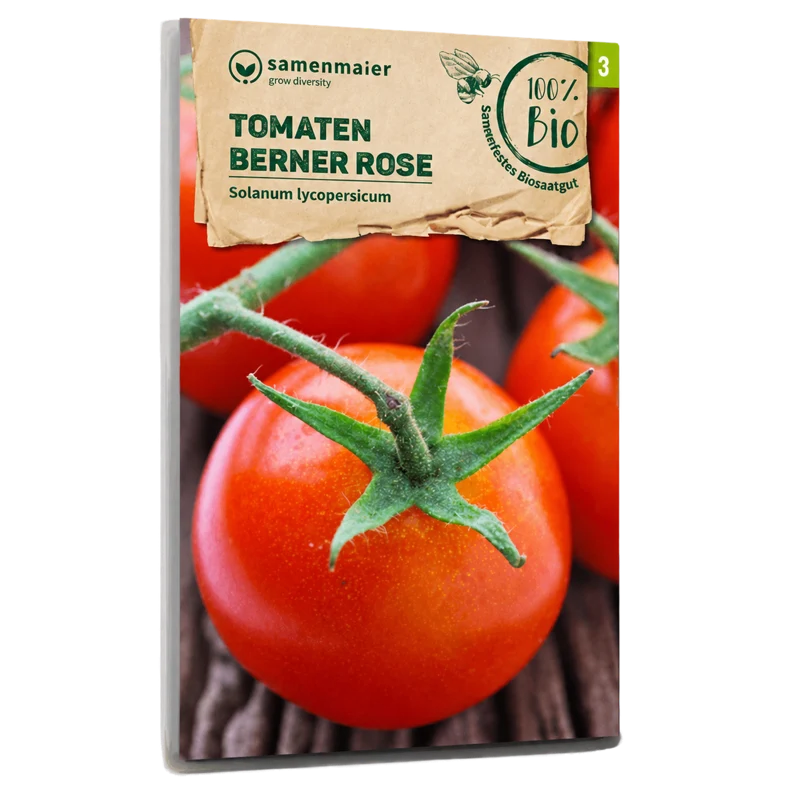 Bio-Tomate 'Berner Rose'