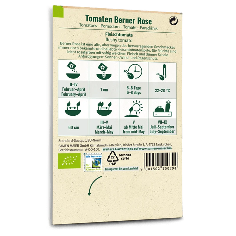 Bio-Tomate 'Berner Rose'