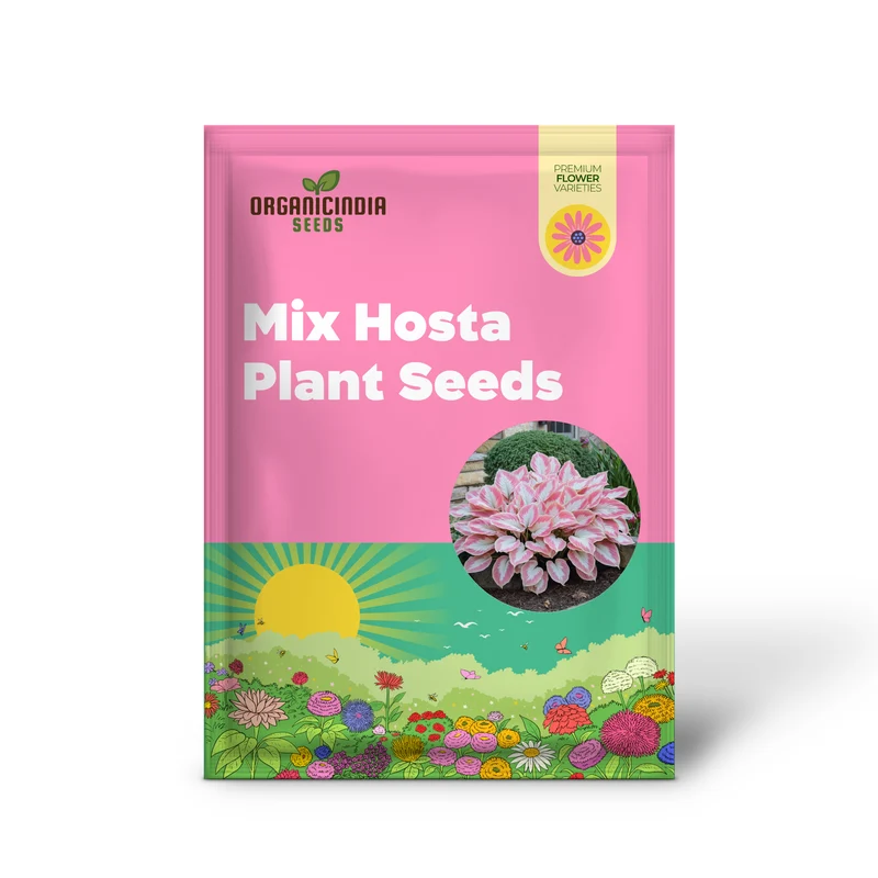 Rare Mix Hosta Plant Seeds, Pink and White Elegant Shade Garden Blooms