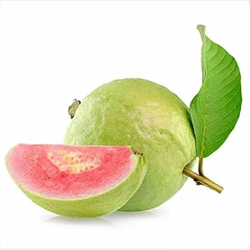 Guava Fruit Seeds