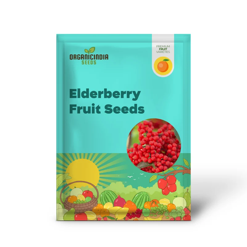 Red Elderberry Fruit Seeds