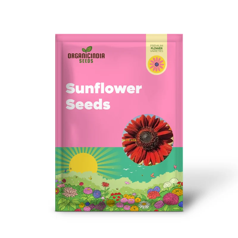 Red Mini Sunflower Seeds – Compact Garden Variety for Vibrant Blooms