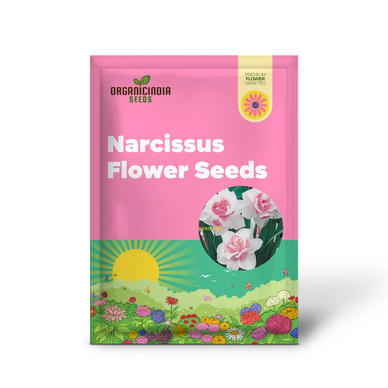 Narcissus Flower Seeds – White & Pink Varieties for Stunning Garden Blooms