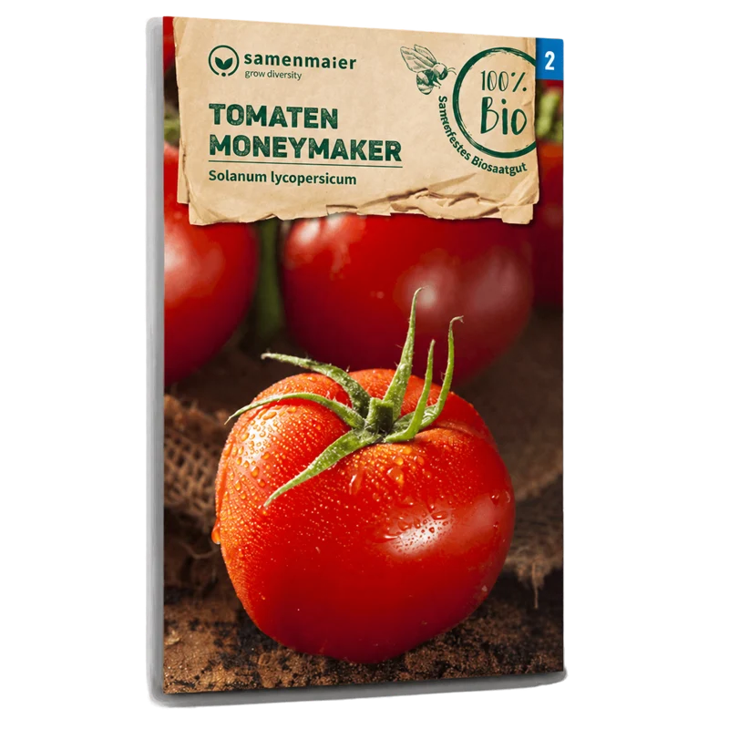 Bio-Tomate 'Moneymaker'
